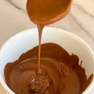melt the chocolate